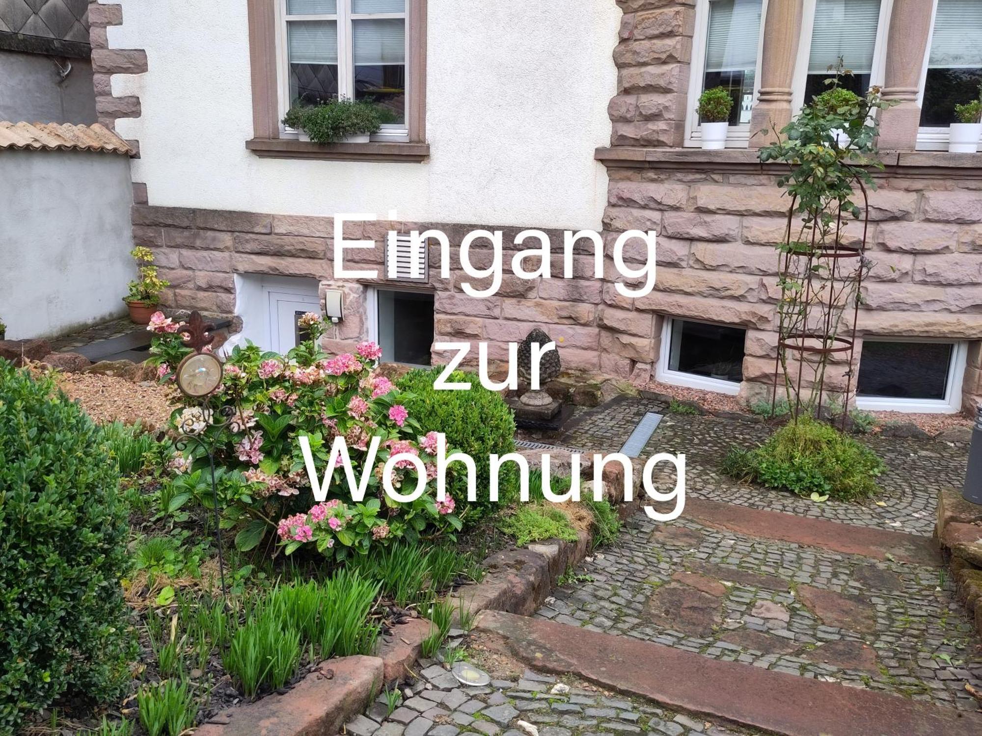 Casa Viva - Separate, Ruhig Gelegene Wohnung Quierschied المظهر الخارجي الصورة