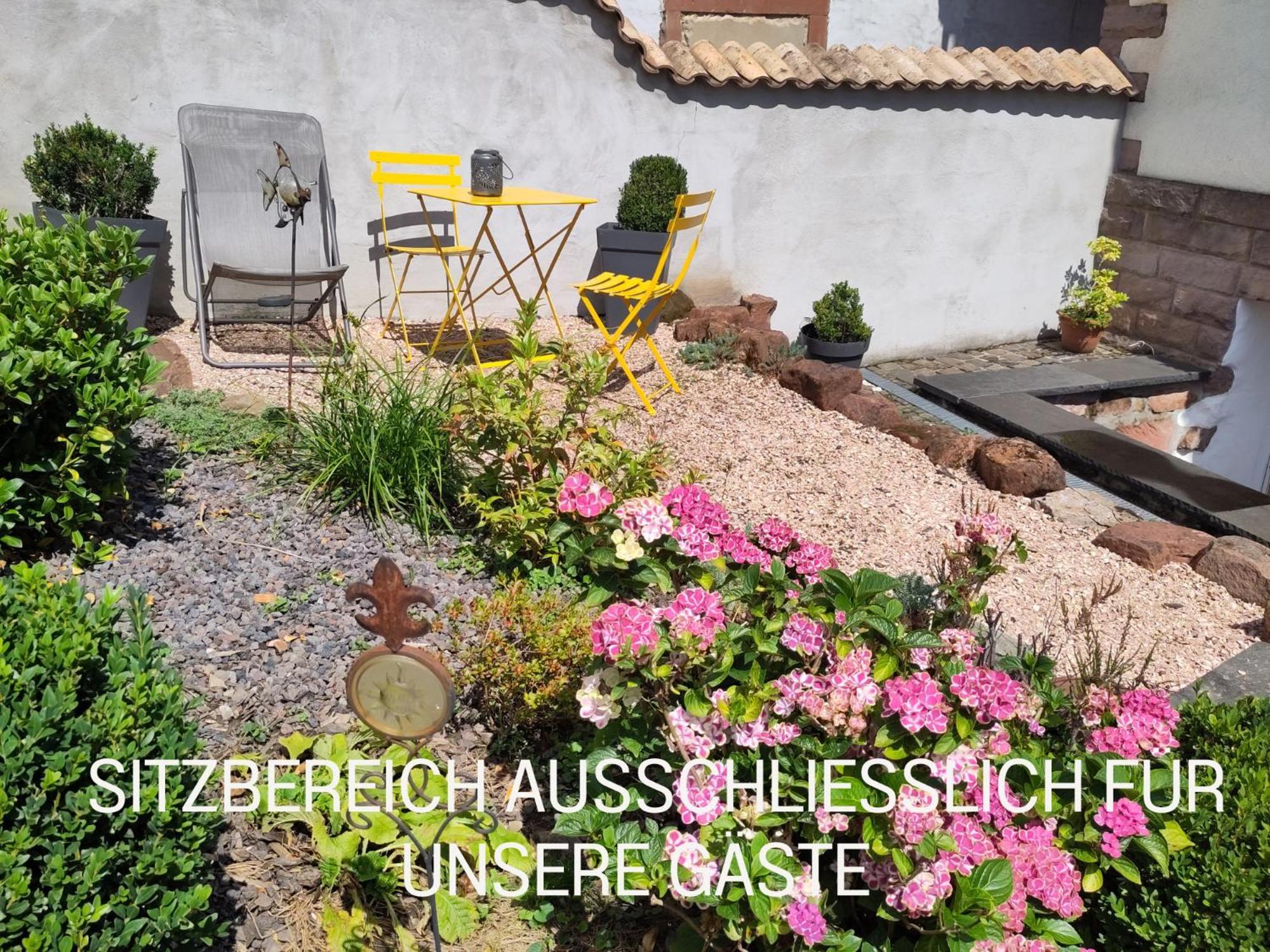 Casa Viva - Separate, Ruhig Gelegene Wohnung Quierschied المظهر الخارجي الصورة